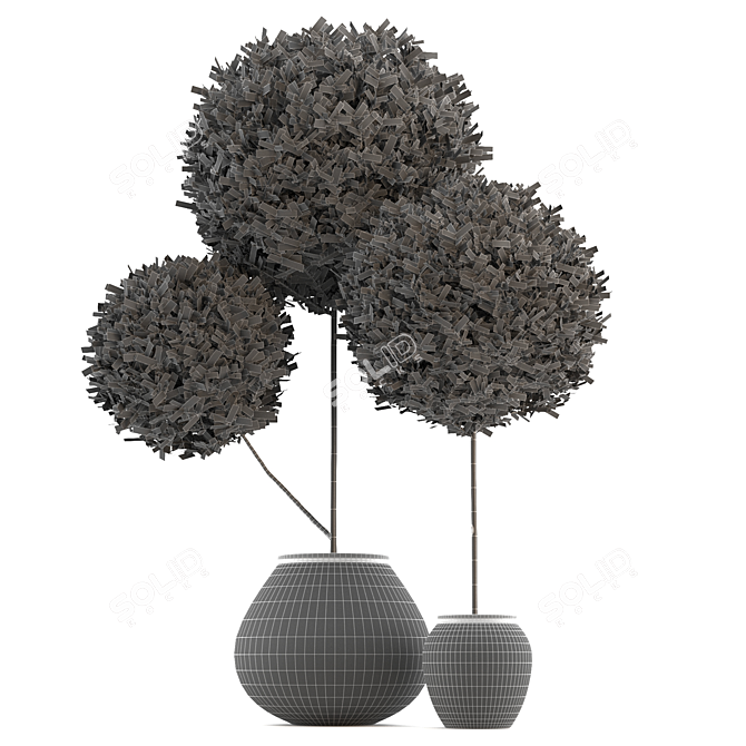 Elegant Topiary Ball in Pot 3D model image 2
