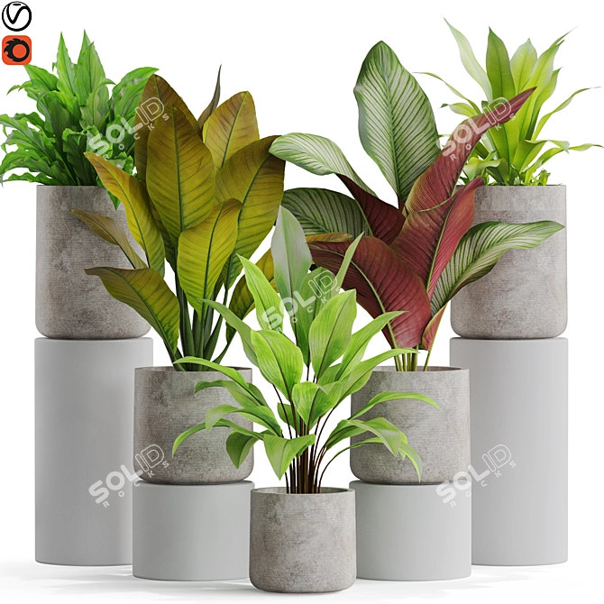 Exquisite Plant Assortment 556 3D model image 1