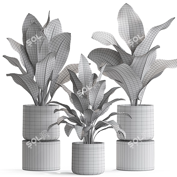 Exquisite Plant Assortment 556 3D model image 4