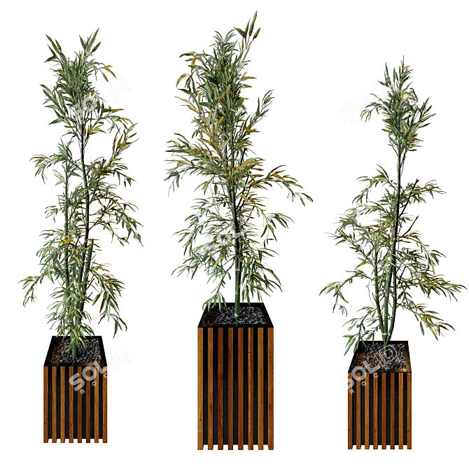 Natural Bamboo Set: 3 Unique Designs 3D model image 3