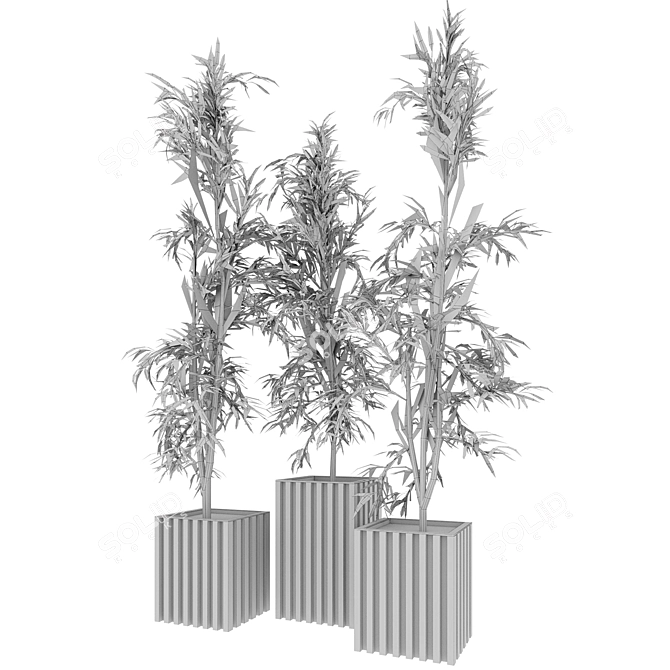 Natural Bamboo Set: 3 Unique Designs 3D model image 4