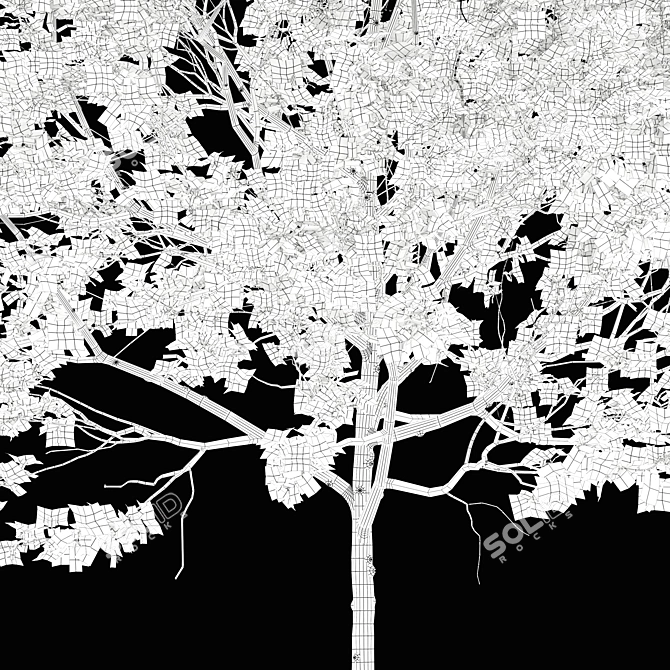 Flowering Dogwood Tree Set 3D model image 4