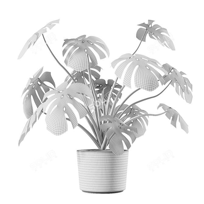 Tropical Monstera Vase Plant 3D model image 3