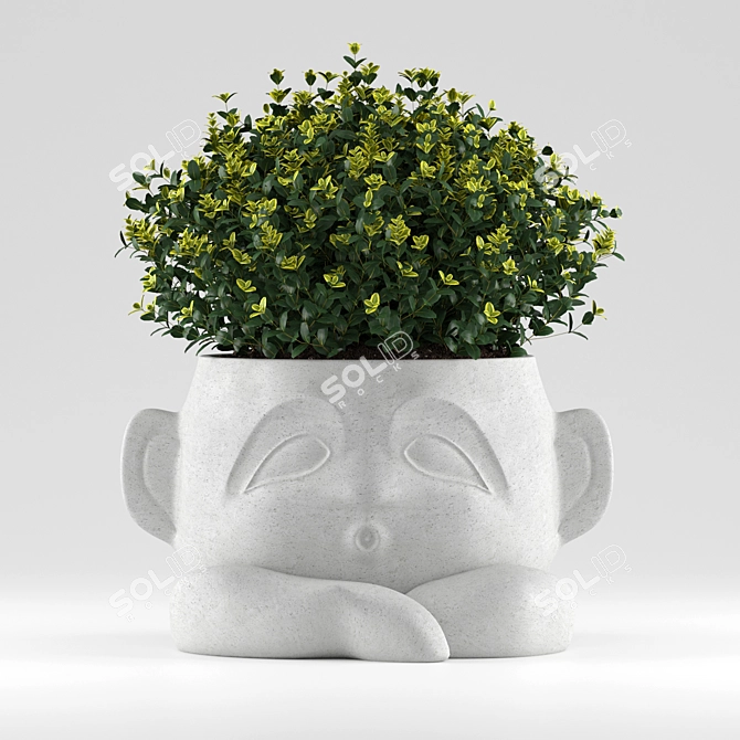 Modern Harris Design Planter for Flowers 3D model image 2