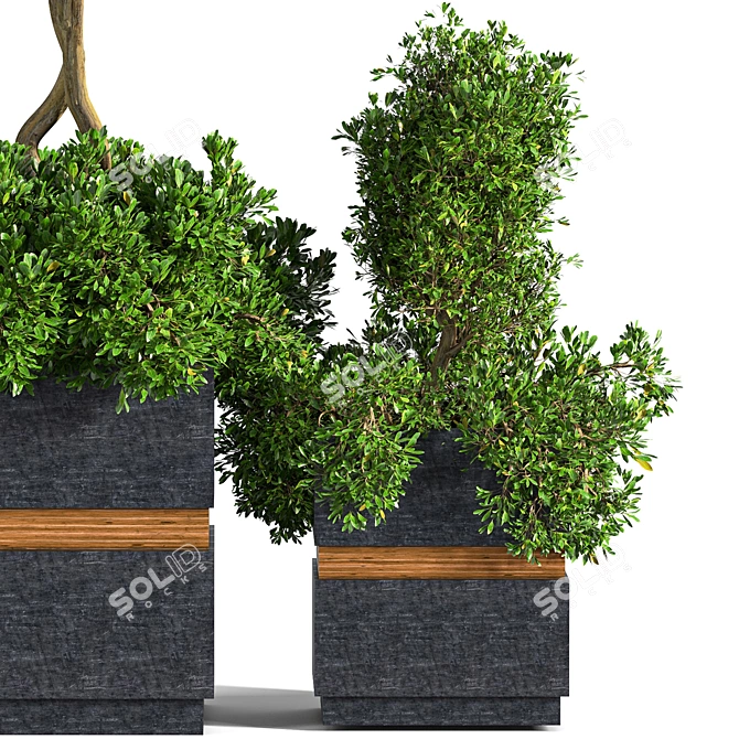 Versatile Outdoor Plant Set 3D model image 2