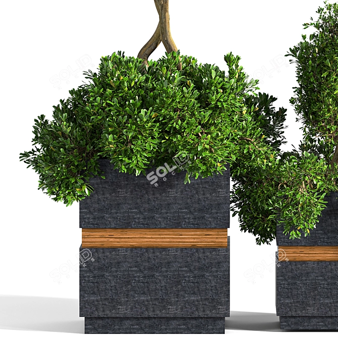 Versatile Outdoor Plant Set 3D model image 4