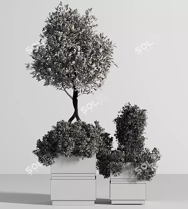 Versatile Outdoor Plant Set 3D model image 5