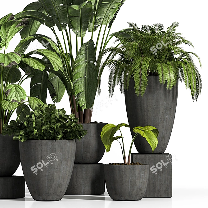 Elegant Indoor Plant Set 3D model image 3