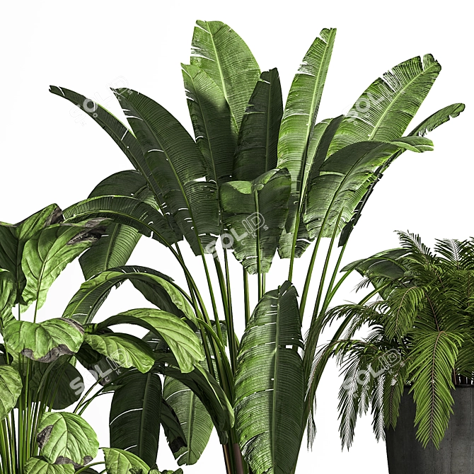 Elegant Indoor Plant Set 3D model image 4