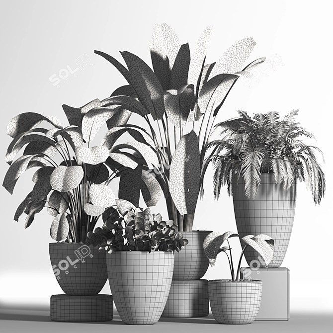 Elegant Indoor Plant Set 3D model image 5