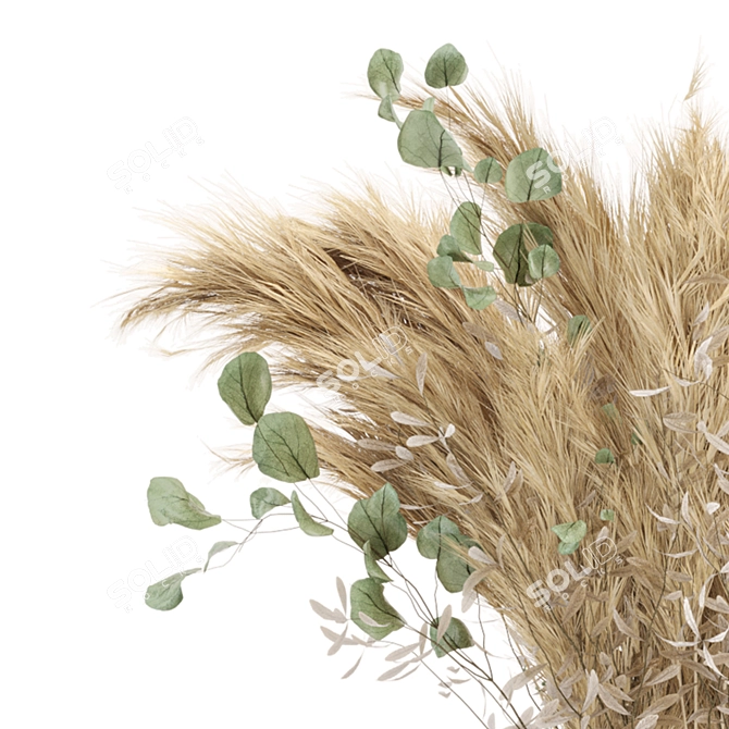 Pampas Plantset: Dried Beauty 3D model image 6