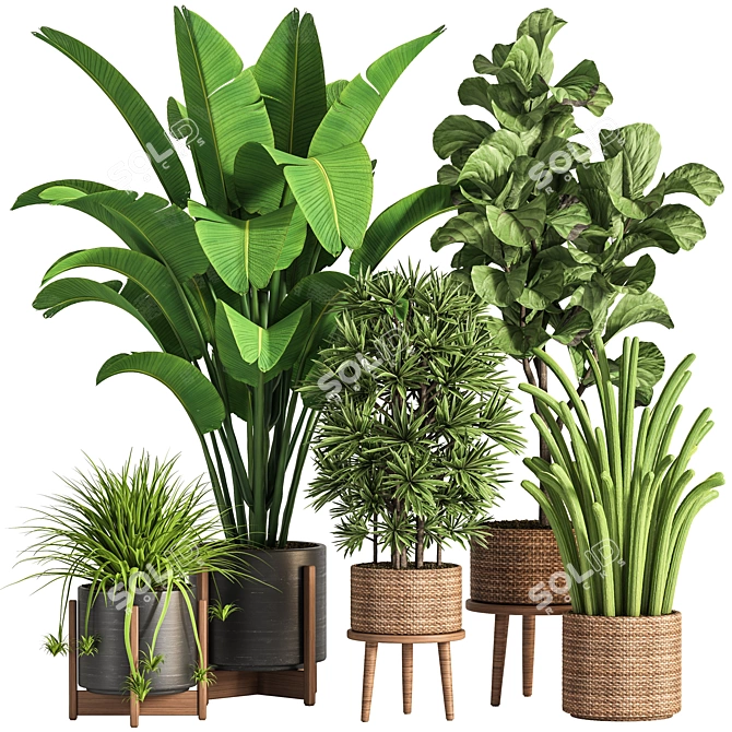 Ultimate Indoor Plant Collection 3D model image 1