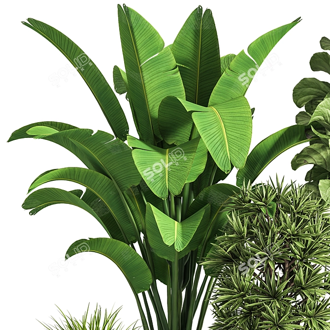 Ultimate Indoor Plant Collection 3D model image 5