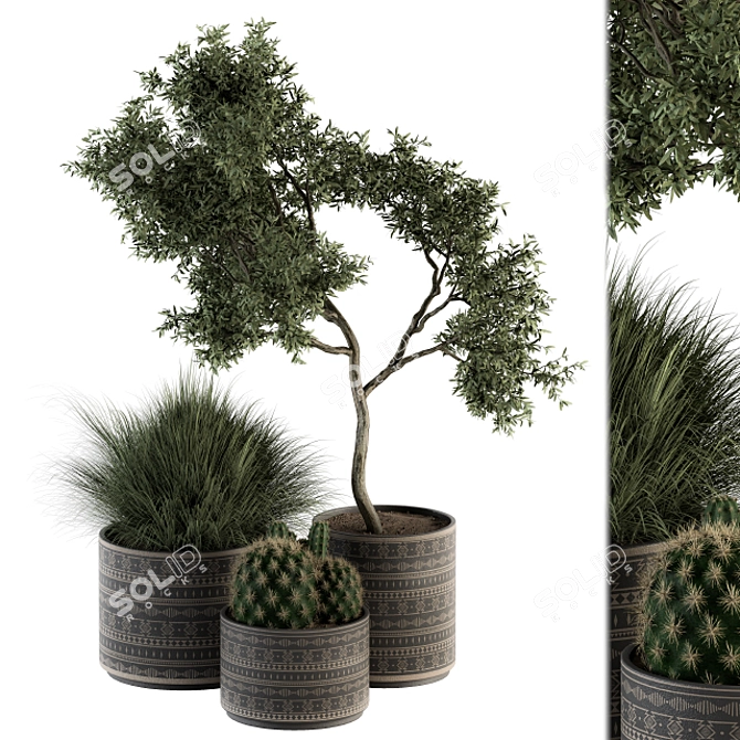 Botanical Bliss: Indoor Plant Set 3D model image 1