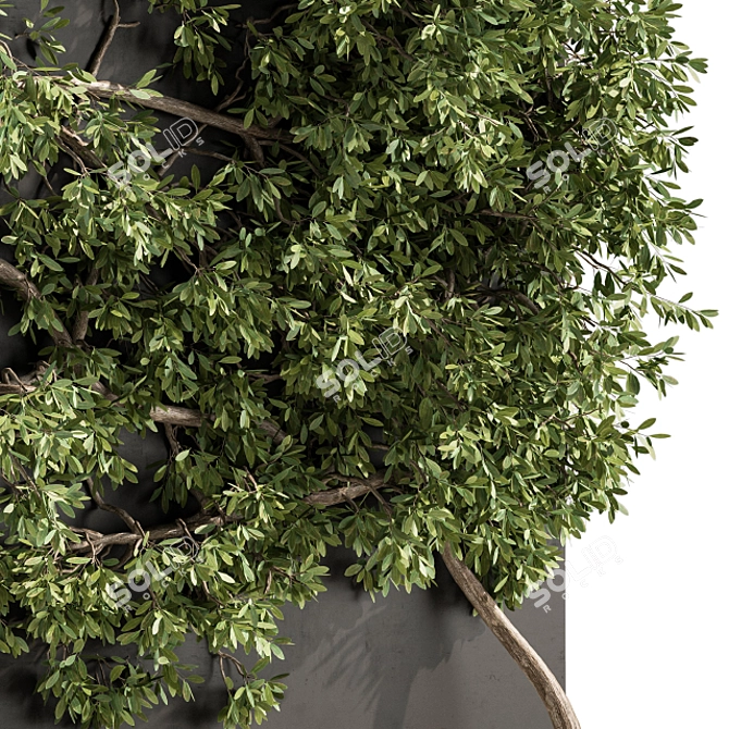 Wall-mounted Ivy Plant Set 3D model image 3