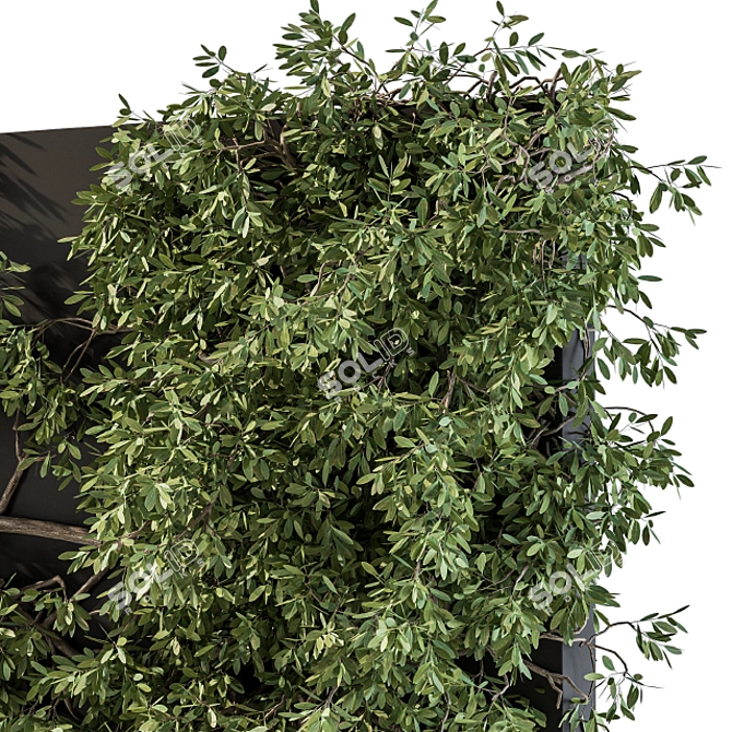 Wall-mounted Ivy Plant Set 3D model image 4