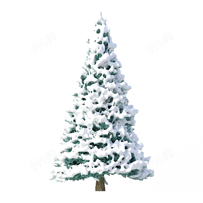 Snowy Fir Tree 3D Model 3D model image 3