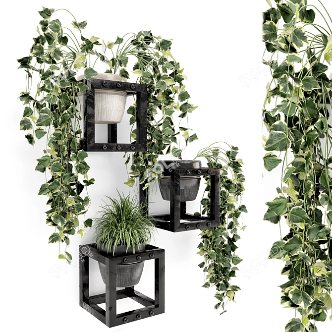 Rusty Concrete Pot Indoor Hanging Plants 3D model image 1