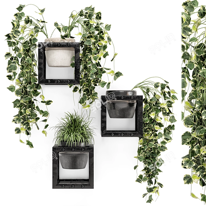 Rusty Concrete Pot Indoor Hanging Plants 3D model image 2