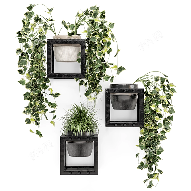 Rusty Concrete Pot Indoor Hanging Plants 3D model image 6