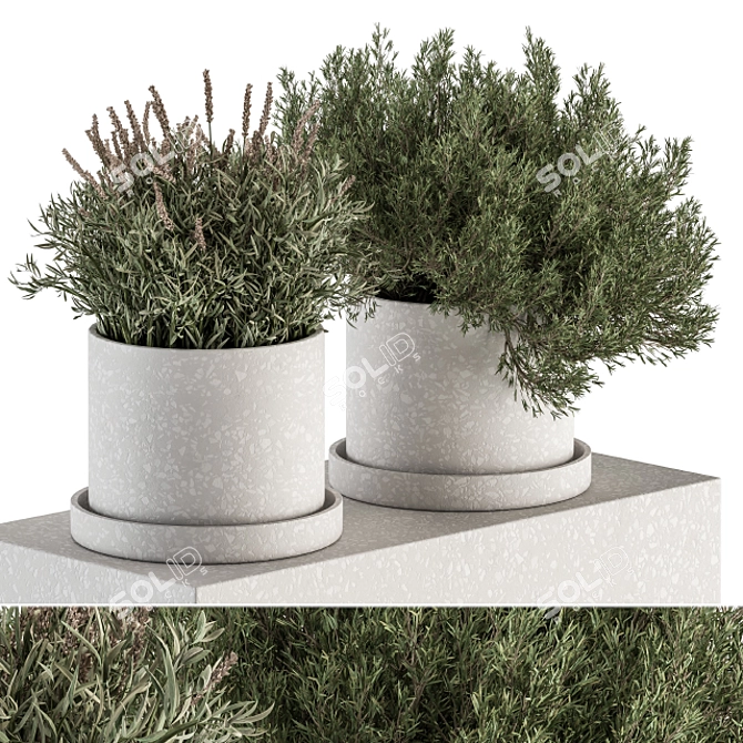 Small Indoor Plant Set in Pot 3D model image 1