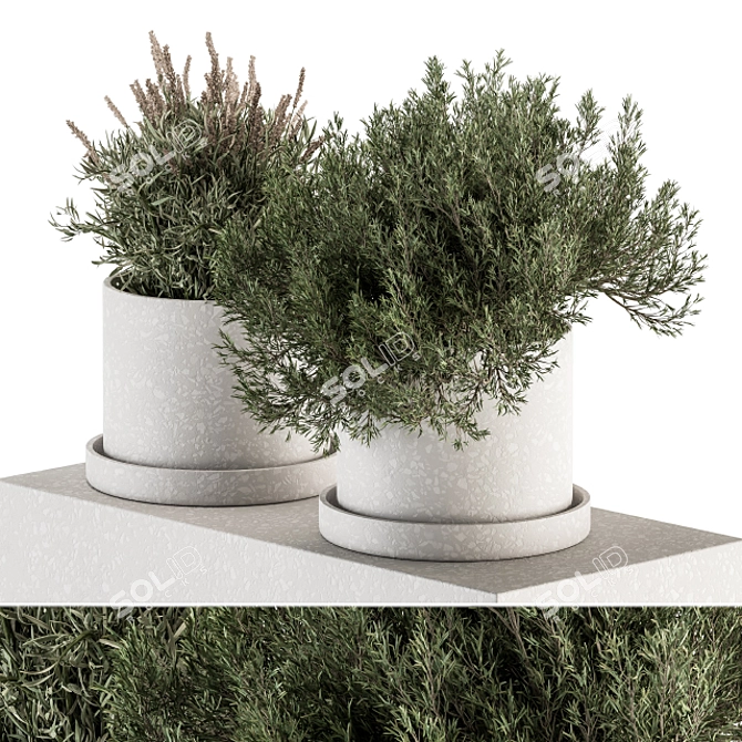 Small Indoor Plant Set in Pot 3D model image 2