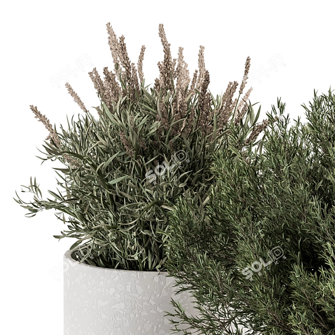 Small Indoor Plant Set in Pot 3D model image 6