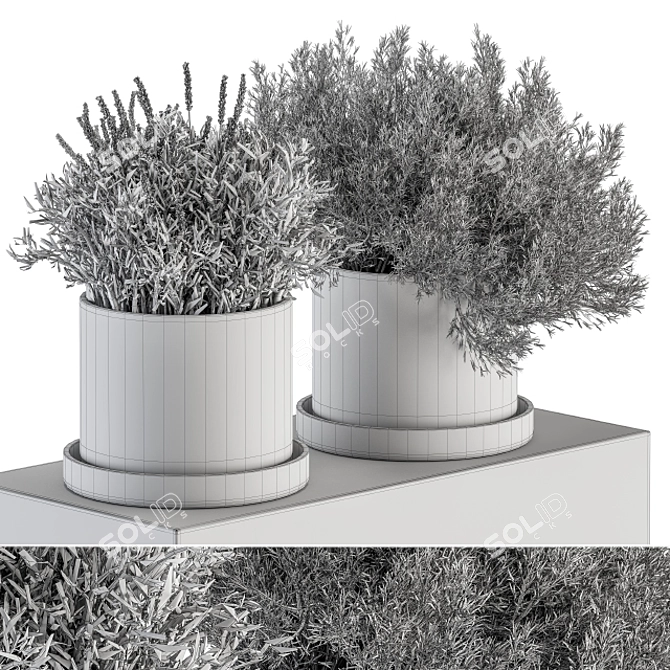 Small Indoor Plant Set in Pot 3D model image 7