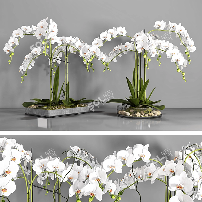 Elegant Orchid: Vase 108 3D model image 1