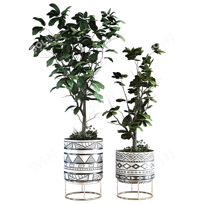 Elegant Plant Vase Set 3D model image 2