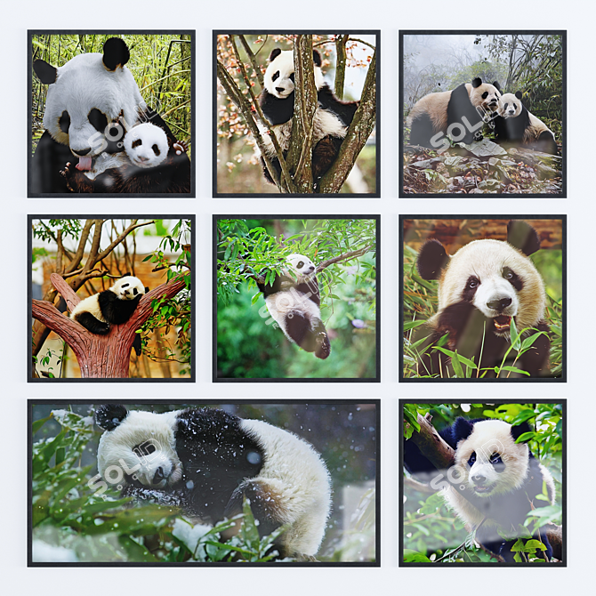 Panda Photo Frame Set | Modern Design 3D model image 1