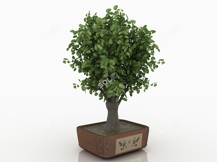 Miniature Greenery: Bonsai Tree 3D model image 1