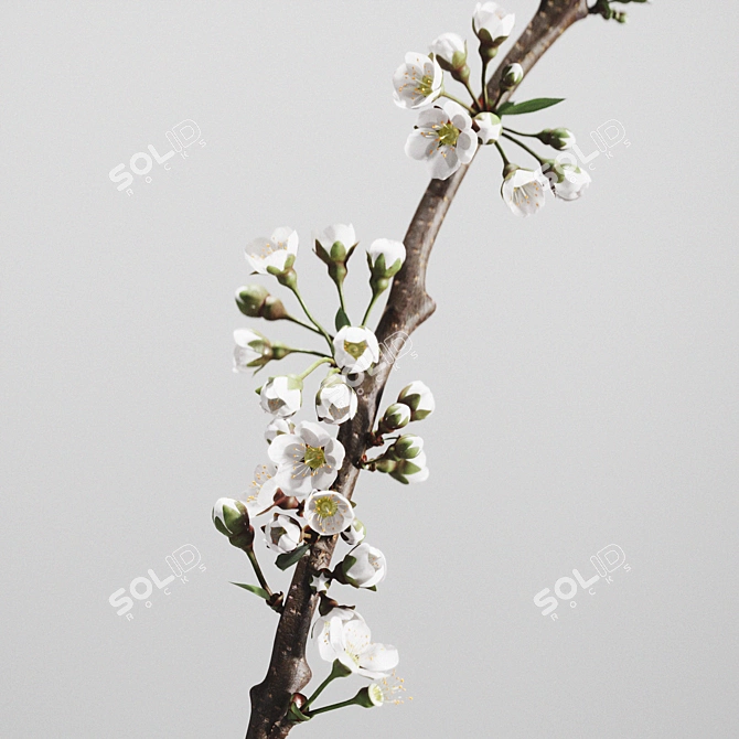 Elegant Aluminum Vases with Cherry Branch 3D model image 2