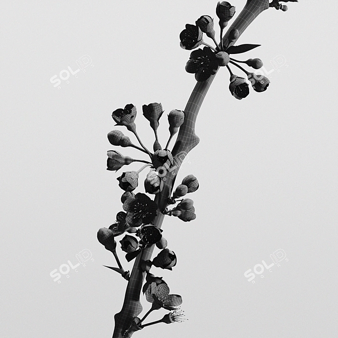 Elegant Aluminum Vases with Cherry Branch 3D model image 6