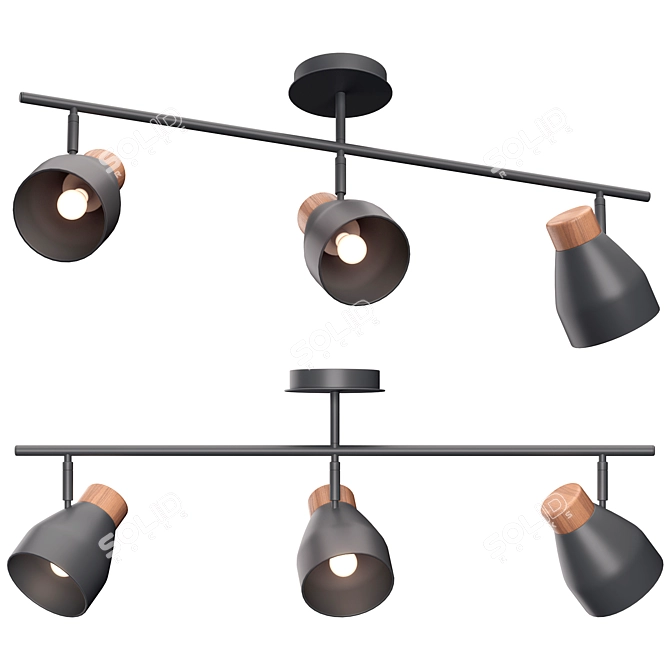 Albert Charcoal Grey Ceiling Lamp 3D model image 3