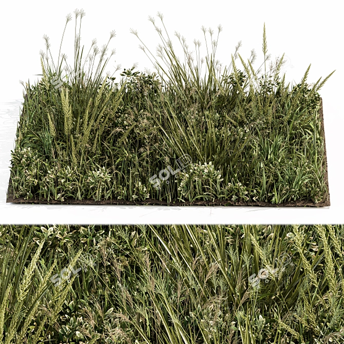 Lush Green Grass - Set 03 3D model image 2