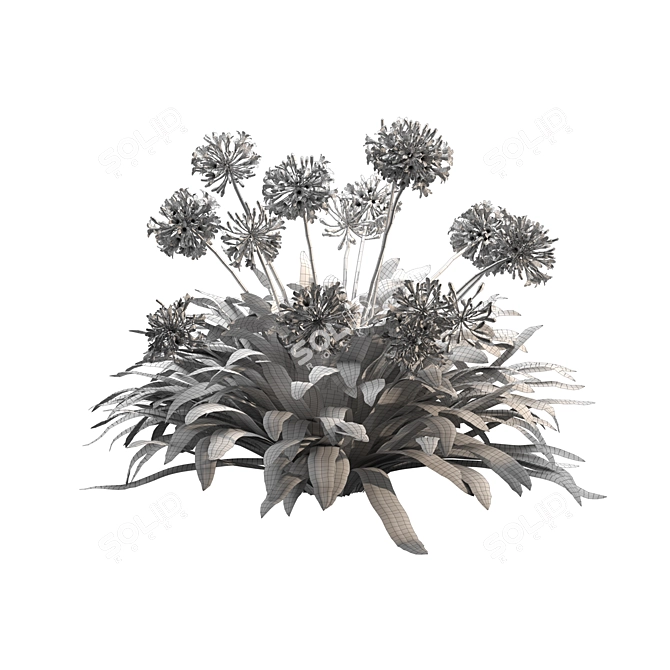 Agapanthus 2013: 3D Floral Model 3D model image 1