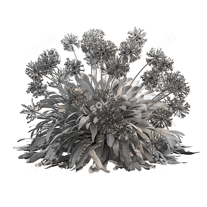 Agapanthus 2013: 3D Floral Model 3D model image 5