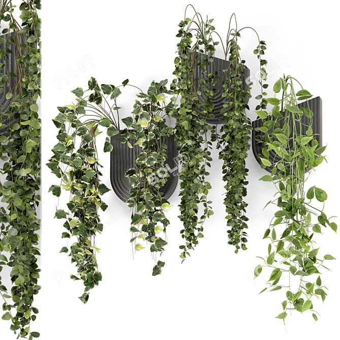 Concrete Pot Indoor Hanging Plants 3D model image 1