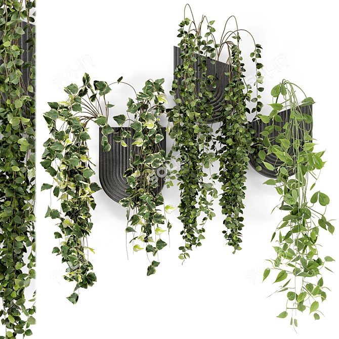 Concrete Pot Indoor Hanging Plants 3D model image 2