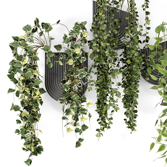 Concrete Pot Indoor Hanging Plants 3D model image 4