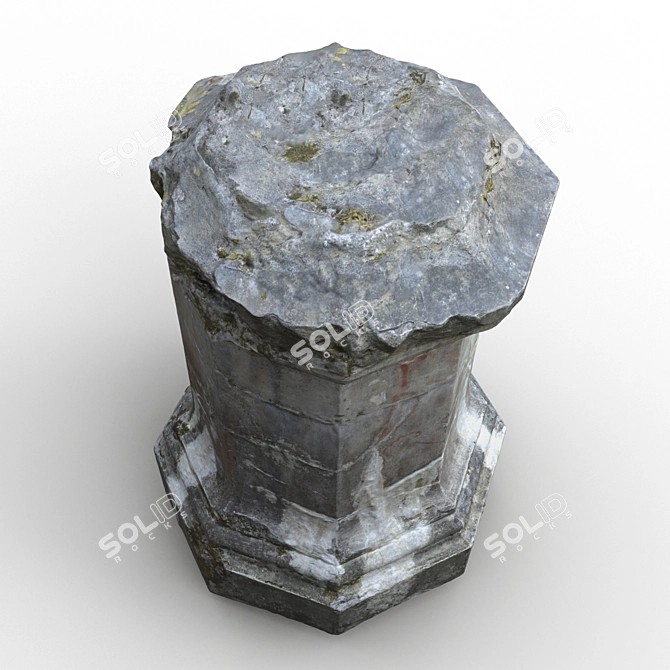 Palanga Column Fragment: Photogrammetry-Enhanced 3D Model 3D model image 8