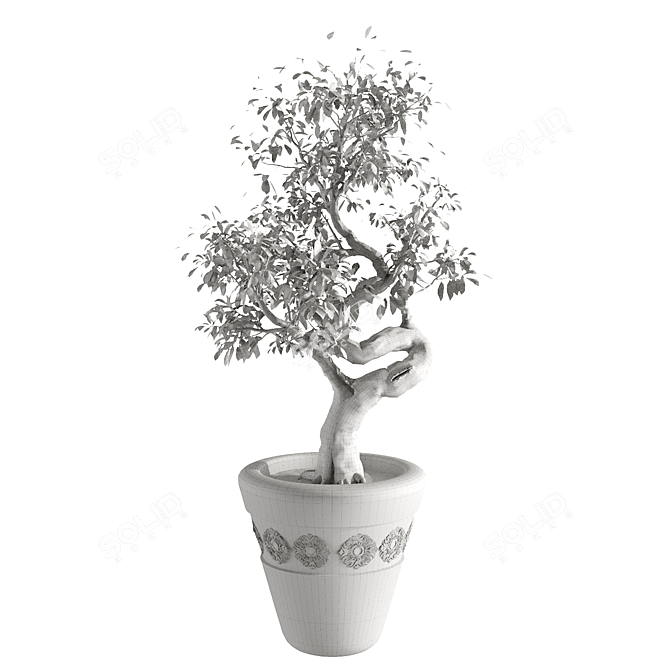 Elegant Indoor Tree: Max, fbx 3D model image 2