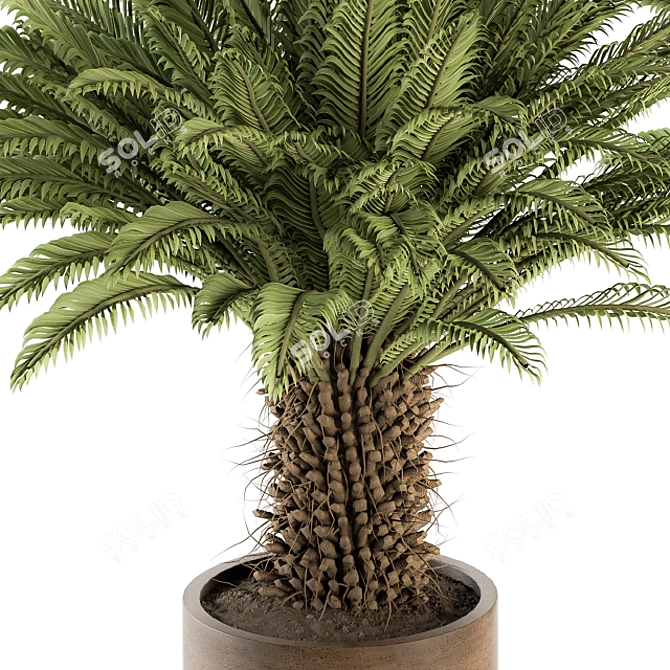 Tropical Oasis: Outdoor Plant Set 3D model image 2