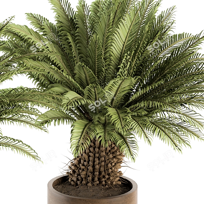 Tropical Oasis: Outdoor Plant Set 3D model image 3