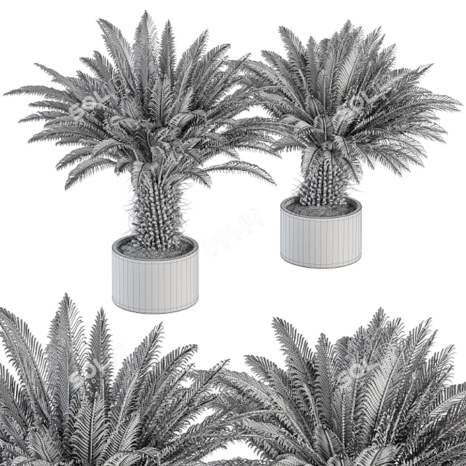 Tropical Oasis: Outdoor Plant Set 3D model image 4