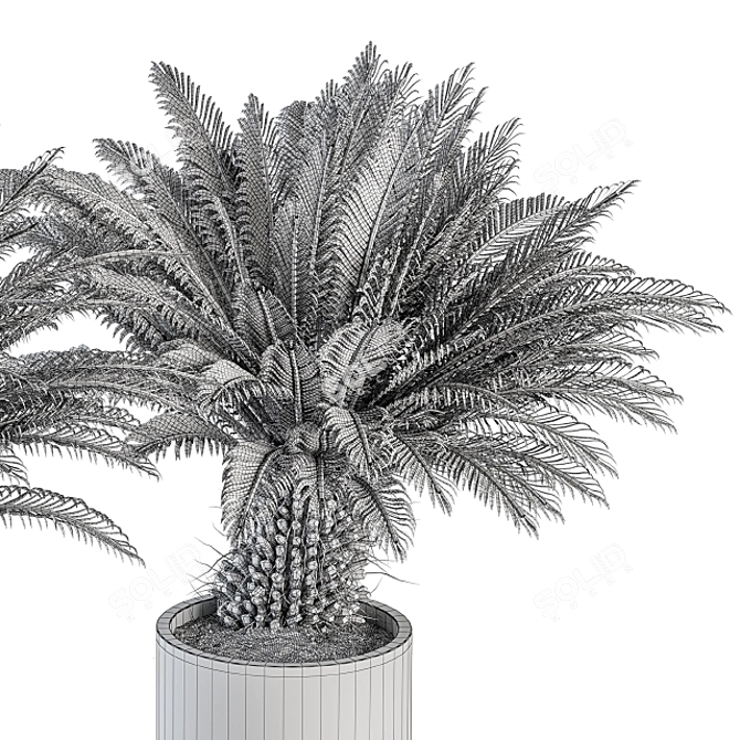 Tropical Oasis: Outdoor Plant Set 3D model image 5