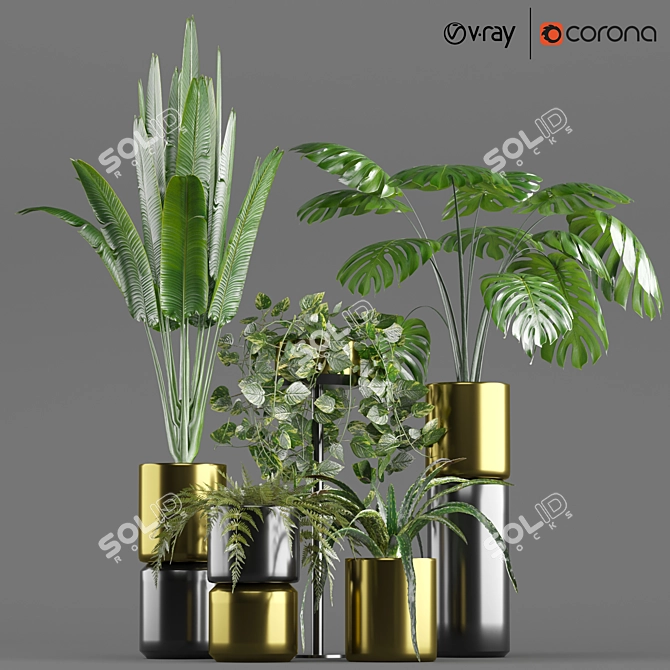 5-Piece Indoor Plant Pot Set 3D model image 1