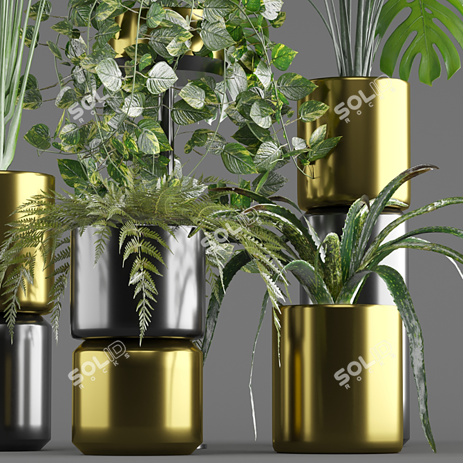 5-Piece Indoor Plant Pot Set 3D model image 2