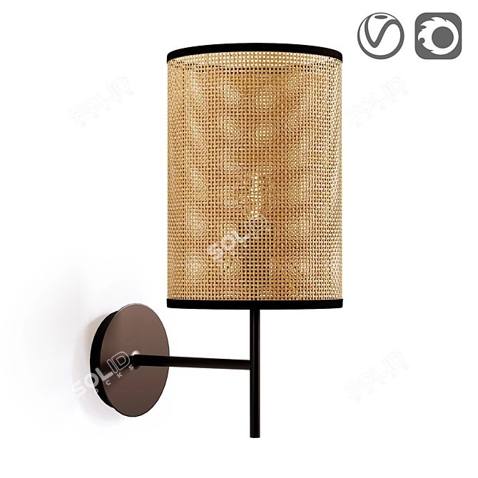 Cara Metal & Braided Wall Lamp 3D model image 1